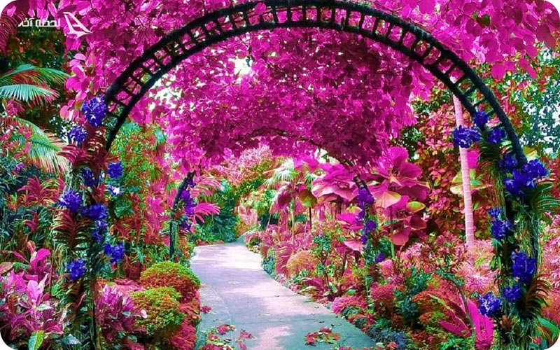 آدرس جاده باغ سنگاپور	