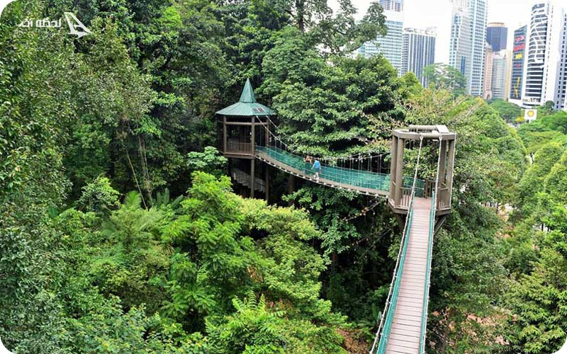 عکس پارک جنگلی اکو مالزی	