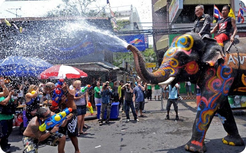 فستیوال فیل تایلند