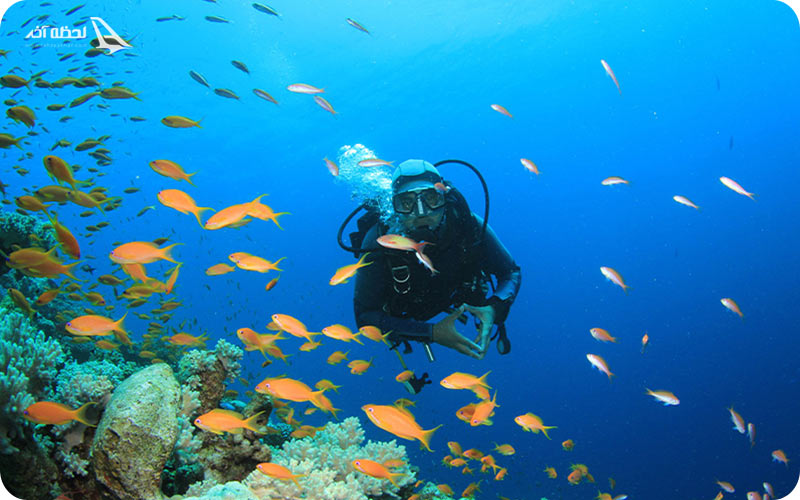 آدرس رویال راک کیش	