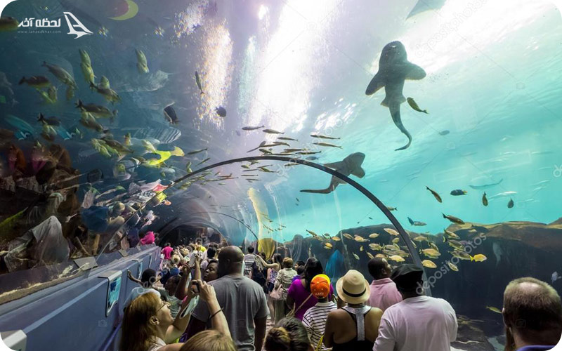 قیمت بلیط آکواریوم باتومی