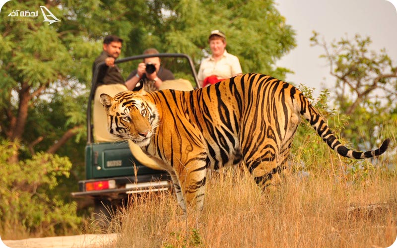 پارک ملی رانتامبور