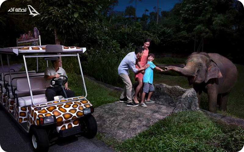 عکس نایت سافاری سنگاپور	