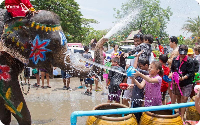 فستیوال فیل تایلند