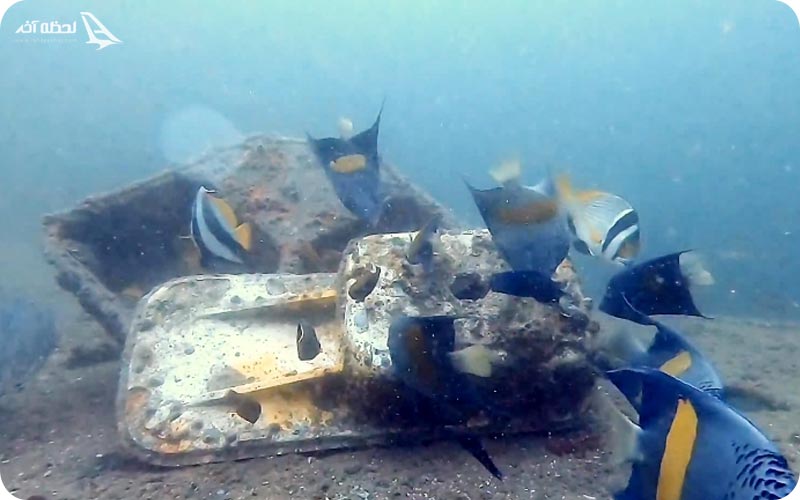 کشتی غرق شده داما