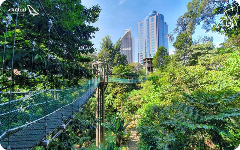 پارک جنگلی اکو مالزی	