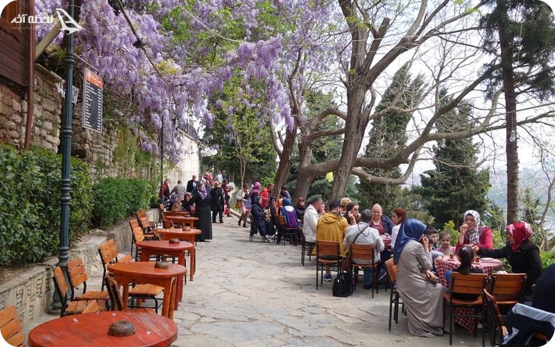 شورلولو علی پاشا