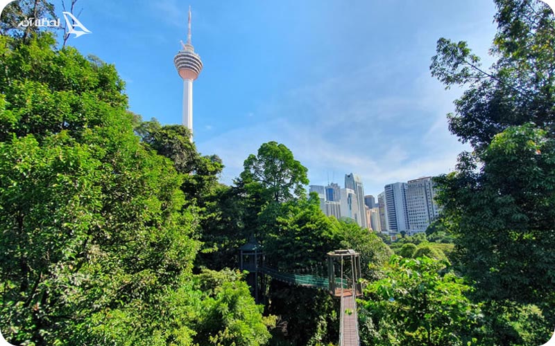 پارک جنگلی اکو مالزی	