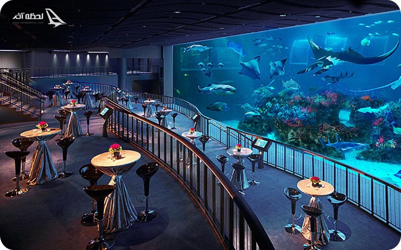 عکس آکواریوم اس ای آ سنگاپور	