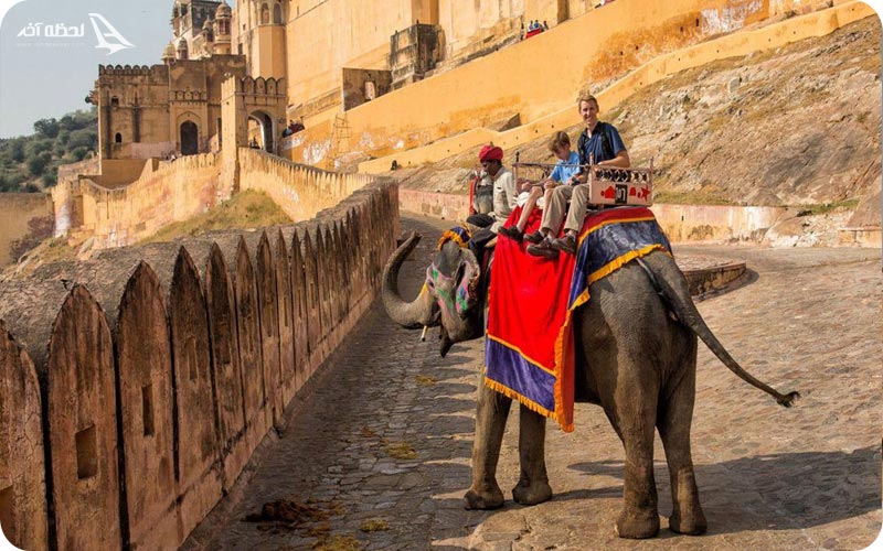 فیل در قلعه آمبر