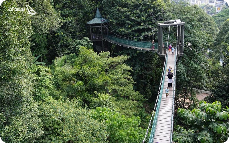 آدرس پارک جنگلی اکو مالزی	