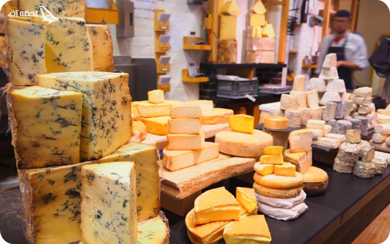 فستیوال پنیر	