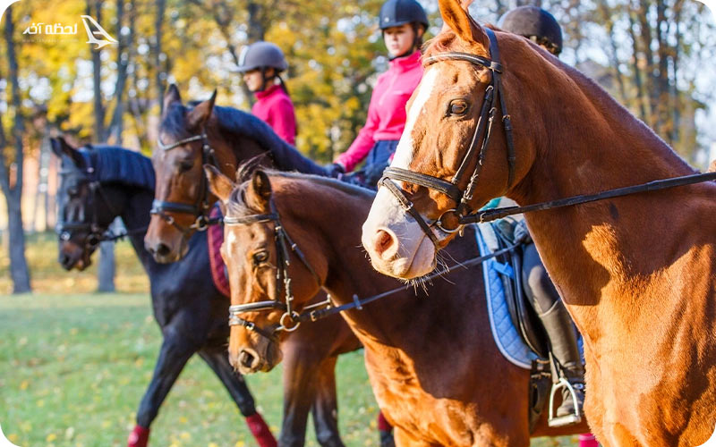 باشگاه اسب سواری کیش