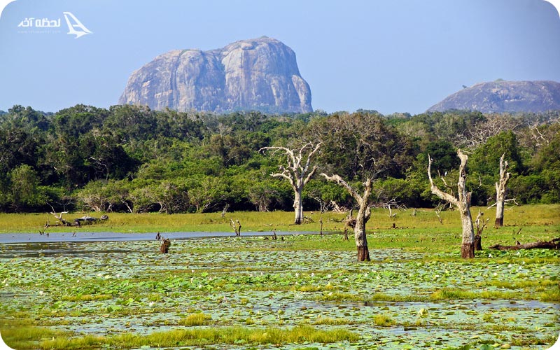 پارک ملی یالا سریلانکا
