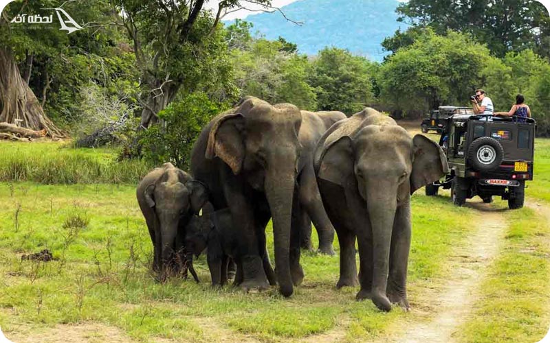 پارک ملی پریار