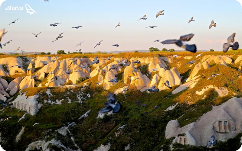 دره کبوتر کاپادوکیا	