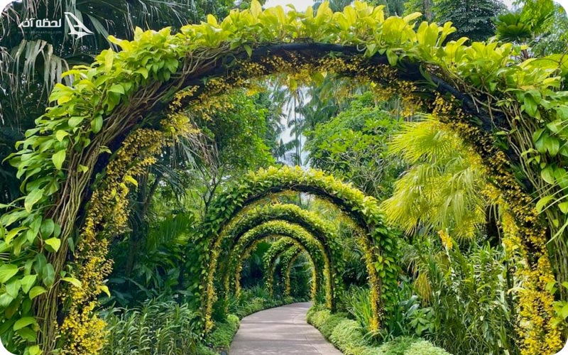 تصاویر جاده باغ سنگاپور	