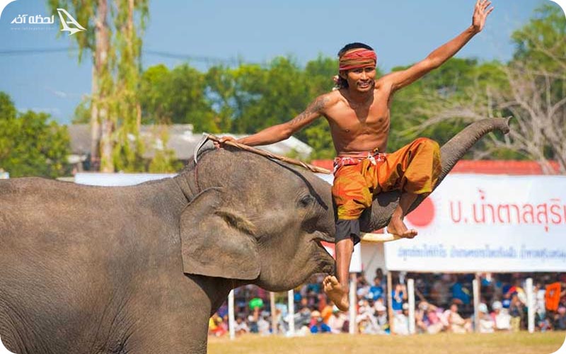 فستیوال فیل تایلند