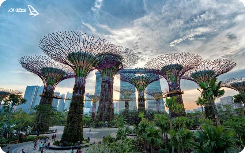 عکس باغ های خلیج سنگاپور	