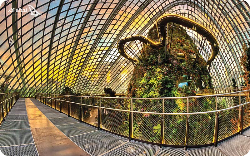 تصاویر باغ های خلیج سنگاپور	