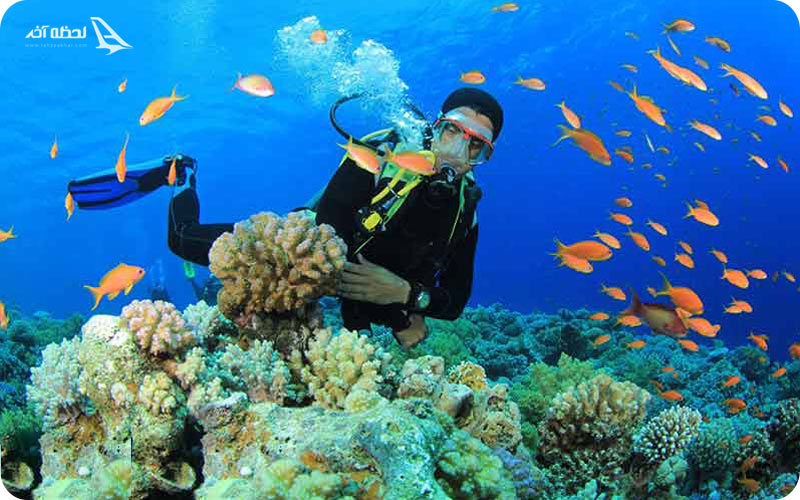 امکانات رویال راک کیش