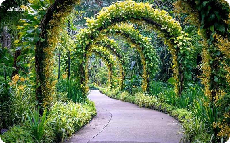 جاده باغ سنگاپور
