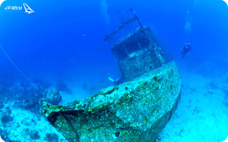 جذابیت کشتی داما 