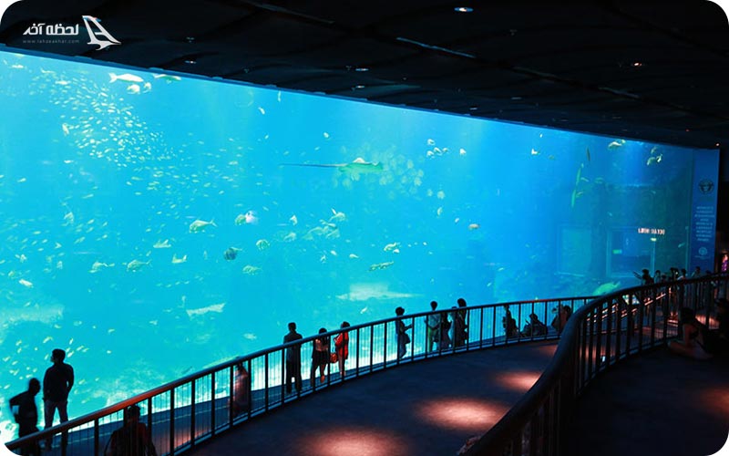 آکواریوم اس ای آ سنگاپور	