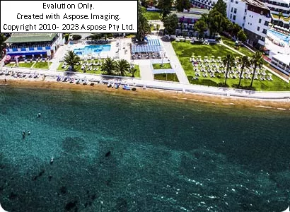 Ladonia Club Blue White