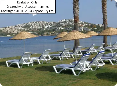 Ladonia Club Blue White