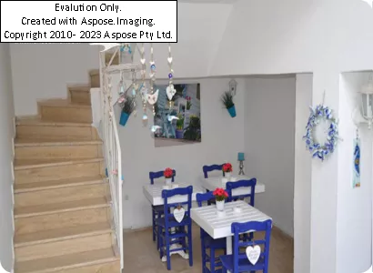 Ladonia Club Blue White