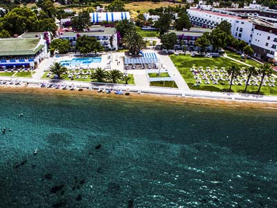 Ladonia Club Blue White