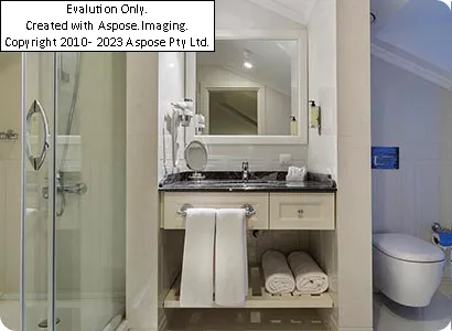 سرویس بهداشتی