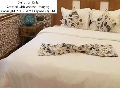 هتل باغ مشیر الممالک یزد