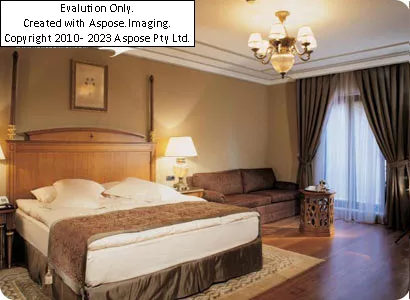 Hotel The Central Palace