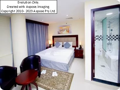 امکانات هتل Royal Falcon