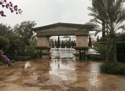 Larissa Stone Palace