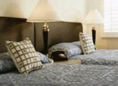 Ambassador Ambassador