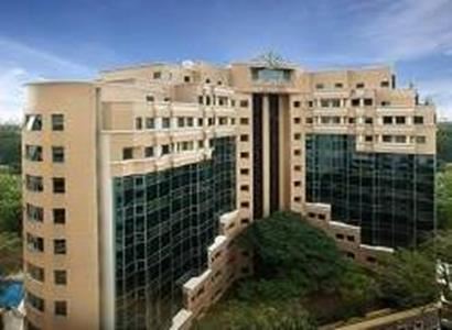 The Elizabeth The Elizabeth