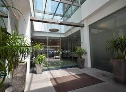 Aqueen Lavender Aqueen Lavender