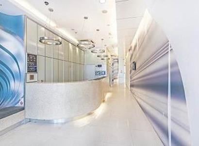 81 Elegance 81 Elegance