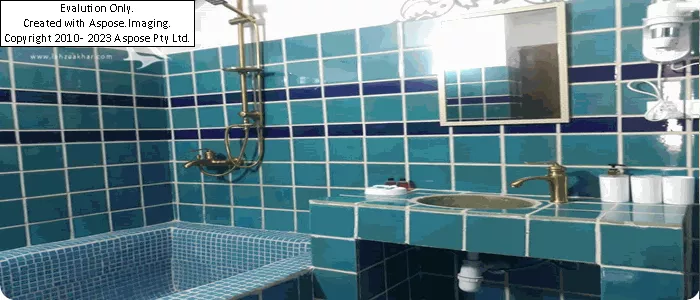 سرویس بهداشتی سرای سنتی تقی خان