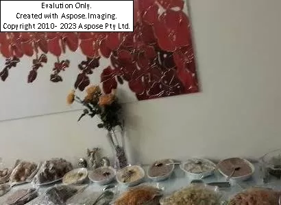 Hotelاوز یاووز