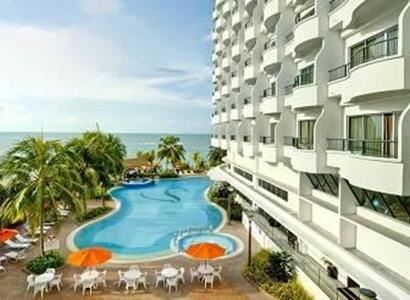 Flamingo by the Beach