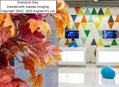 Hotelالیسیوم استایل تکسیم