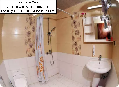 هتل نصیر الملک