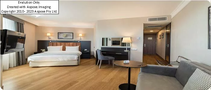 hotel Holiday Inn Istanbul City