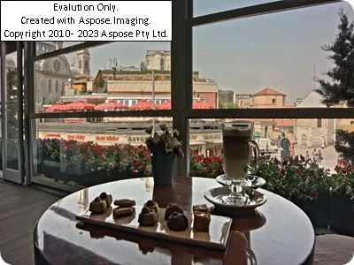 Hotelسی وی کی پارک بسفرز هتل استانبول