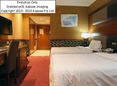 هتل Delmon  دبی نمای اتاق ها