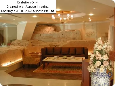 Hotelارسین کراون